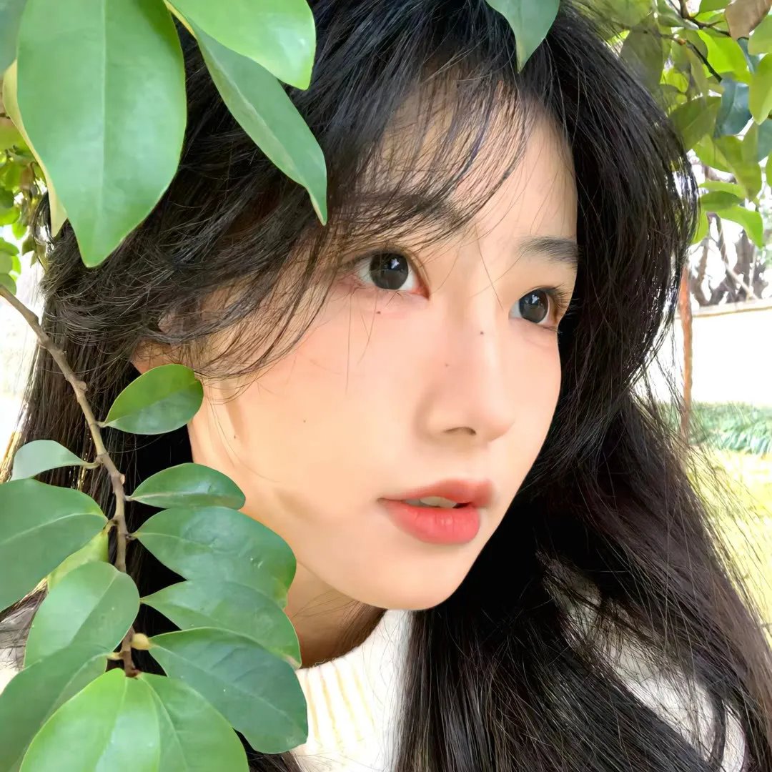 鬼入镜:诅咒